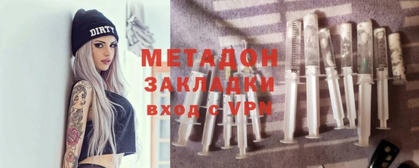 прущие грибы Магас
