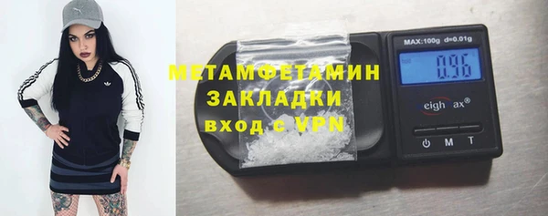 прущие грибы Магас
