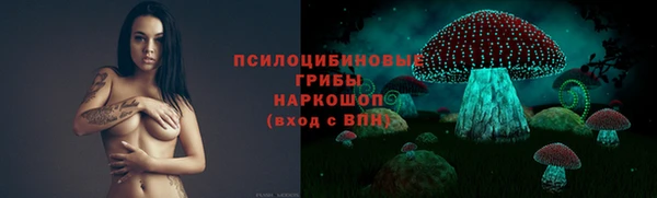 ПСИЛОЦИБИНОВЫЕ ГРИБЫ Домодедово