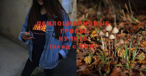 прущие грибы Магас