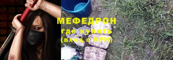 прущие грибы Магас