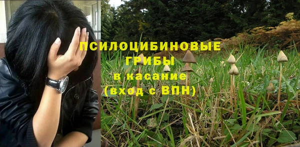 прущая мука Магадан