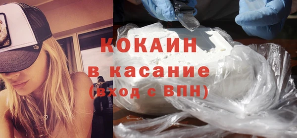 прущие грибы Магас