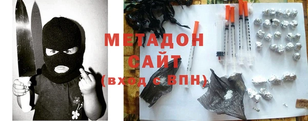 прущие грибы Магас