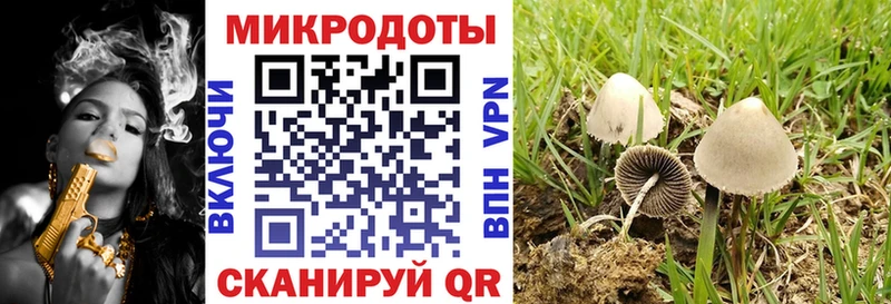 магазин продажи наркотиков Нальчик Галлюциногенные грибы прущие грибы